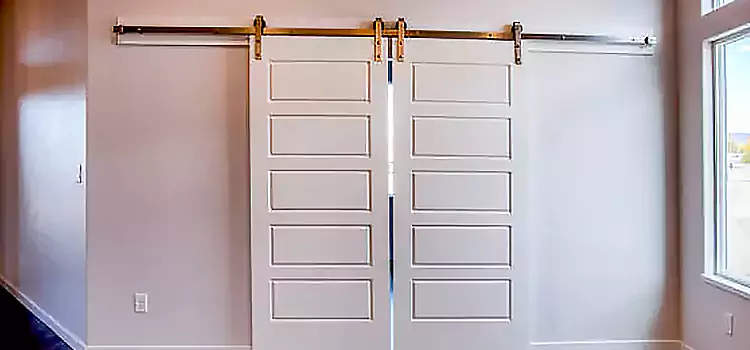 Glass Barn Door with Installation Hardware Kit Potomac