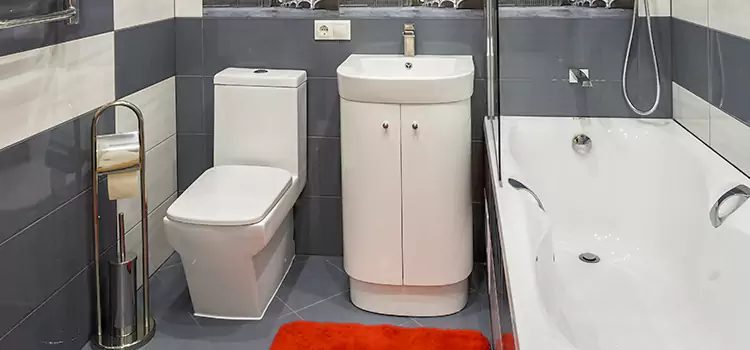 Hansgrohe Shaving Mirror Potomac